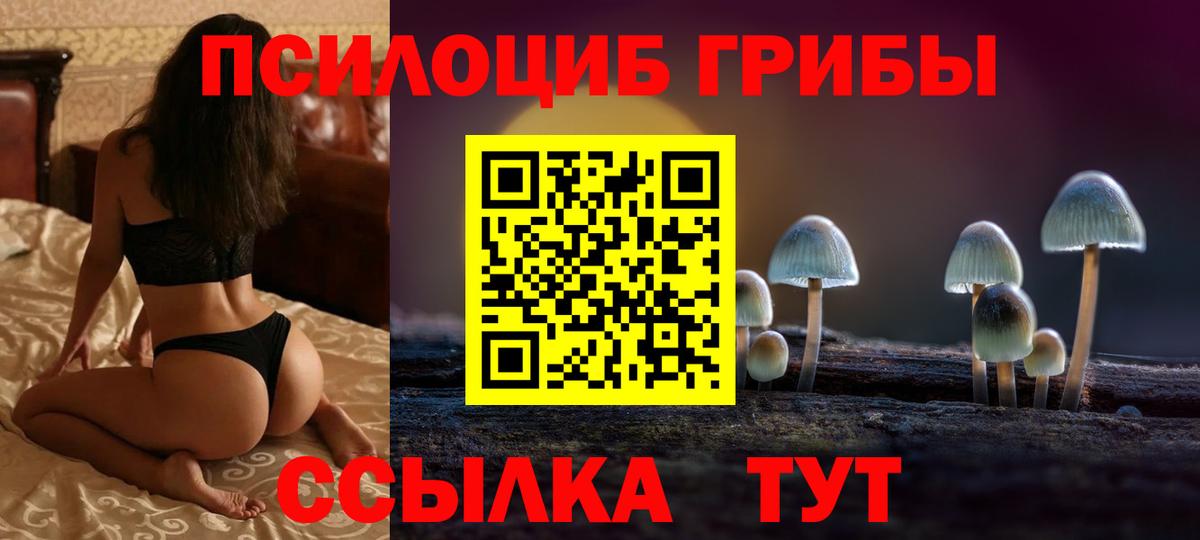 Томск  Псилоцибиновые грибы мицелий  Галлюциногенные грибы GOLDEN TEACHER  Вход с VPN 